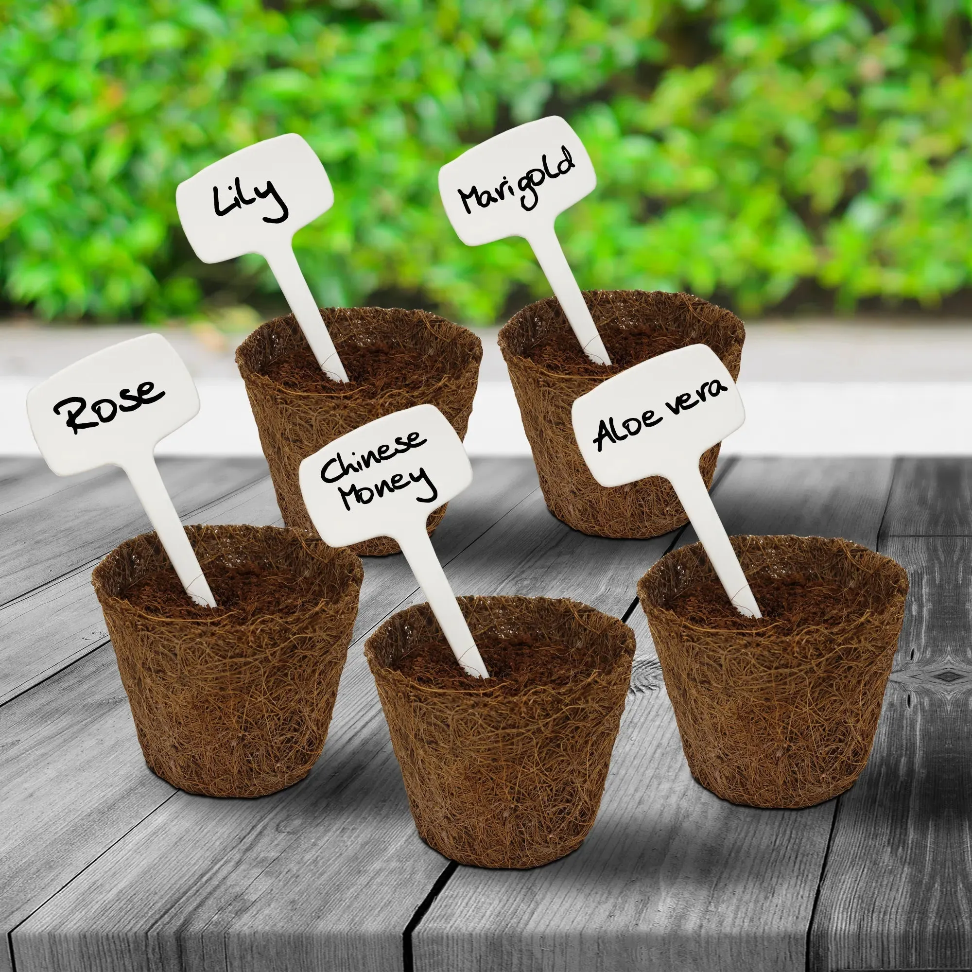 Urban Plant Gardening Name Tag  - (Set of 10)